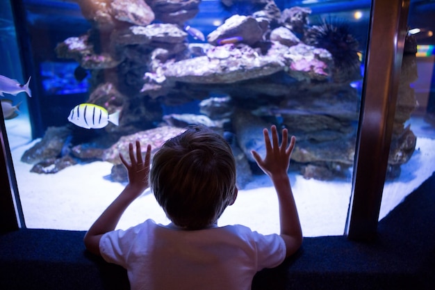 Joven tocando un tanque de peces