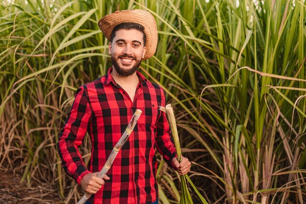 Joven trabajador agrícola sonriendo y analizando plantación de caña de azúcar ingeniero agrónomo industria del alcohol