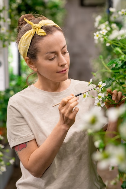 Joven trabajador agrícola vertical contemporáneo con cepillo sosteniendo la flor de fresa durante la polinización artificial de las plántulas vecinas