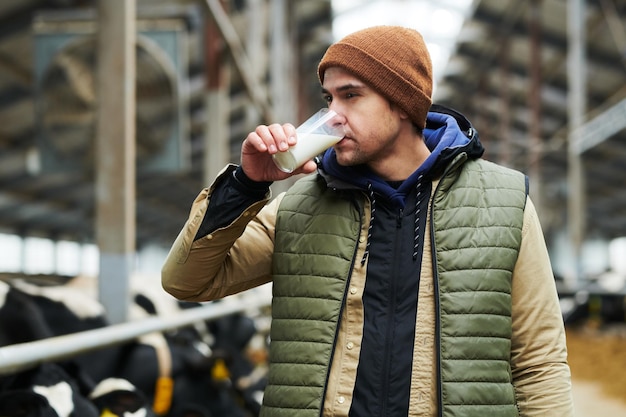 Joven trabajador de la granja de vacas moderna que prueba leche fresca por la mañana