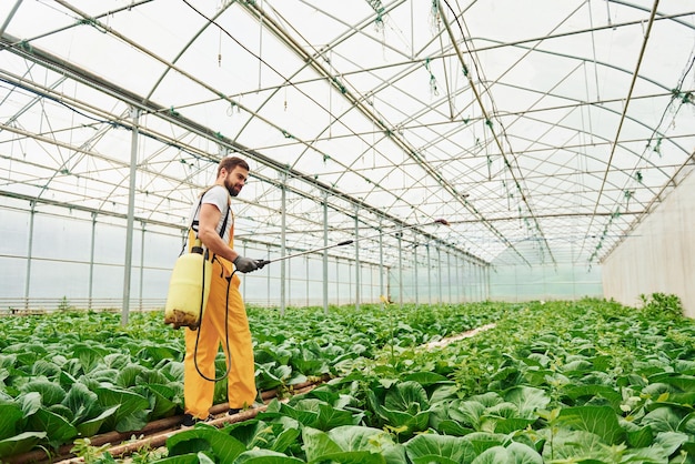 Joven trabajador de invernadero en plantas de riego uniformes amarillas usando equipo especial dentro del invernadero