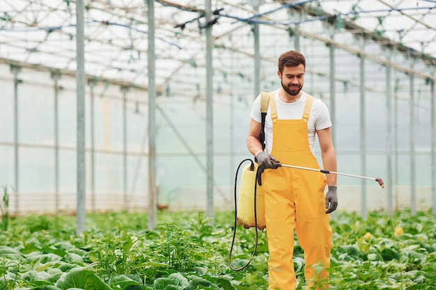 Joven trabajador de invernadero en plantas de riego uniformes amarillas usando equipo especial dentro del invernadero