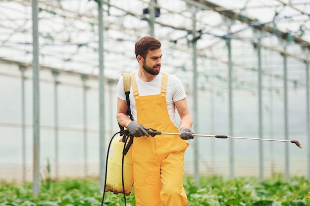 Joven trabajador de invernadero en plantas de riego uniformes amarillas usando equipo especial dentro del invernadero