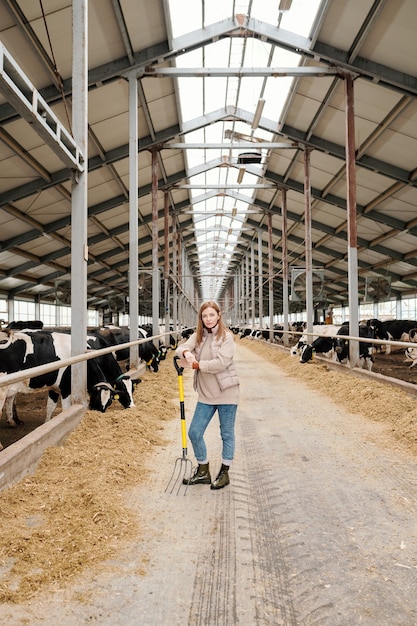 Joven trabajadora de gran granja de animales contemporánea de pie en el pasillo entre dos grandes potreros con ganado mientras cuida el ganado