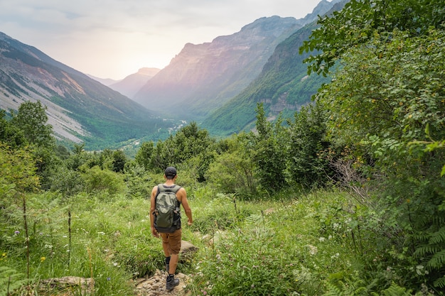 Joven trekking en la cima de una montaña verde entre helechos