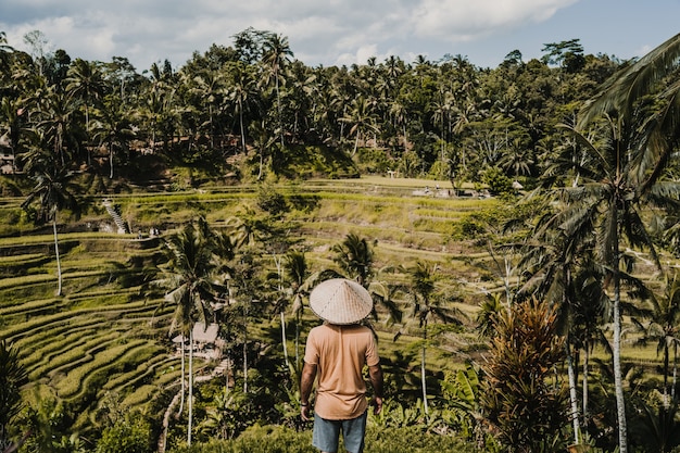 Joven turista feliz disfrutando de la hermosa vista de la terraza de arroz en Bali, Indonesia. Día soleado y relajado en Tegalalang. Fotografía de viaje. Estilo de vida.