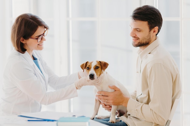 Joven veterana examina el trabajo del perro jack russel terrier en conversaciones en clínicas de animales con el propietario masculino pose interior Perro de pedigrí examinado por un veterinario profesional Examen médico para animales