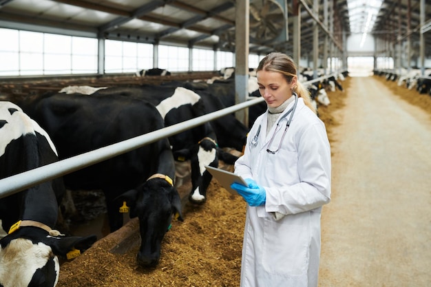 Joven veterinaria clínica con guantes y bata blanca usando tableta