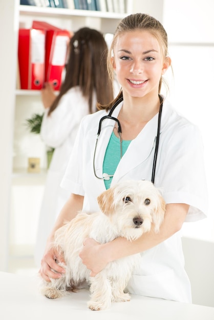 Una joven veterinaria con un lindo y hermoso perro.