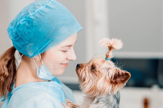 joven veterinaria uniformada con un perro yorkshire terrier en una clínica veterinaria