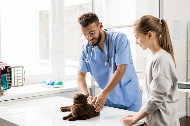 Joven veterinario en uniforme azul abrazando gato en la mesa antes de examinarlo con su dueño cerca