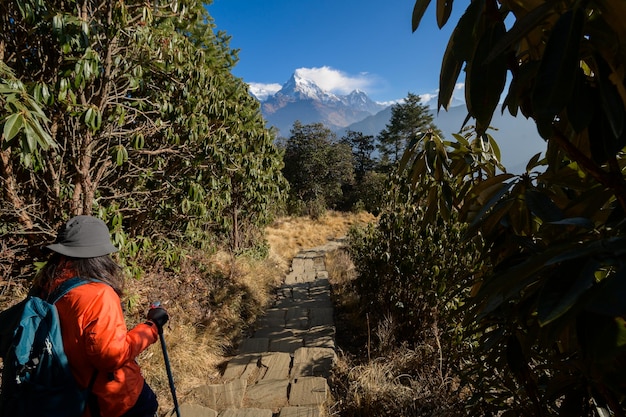 Un joven viajero caminando por senderos forestales Nepal