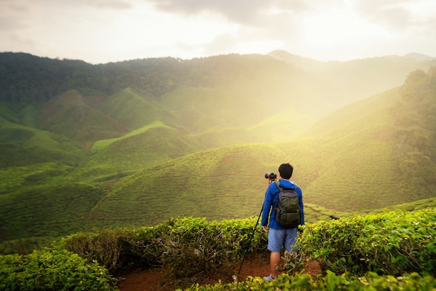 Joven viajero tomar una foto del campo de té de montaña, disfrutando de las plantaciones de té en Cameron Highlands, cerca de Kuala Lumpur, Malasia