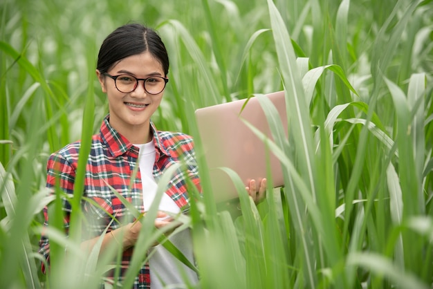 Los jóvenes agricultores están investigando plantas de maíz y las registran en una computadora portátil.