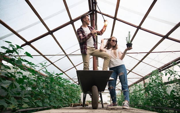 Foto jóvenes agricultores trabajando en invernadero