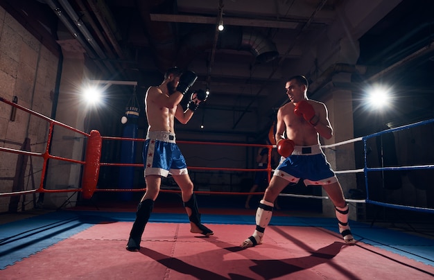 Jóvenes boxeadores entrenando en el ring