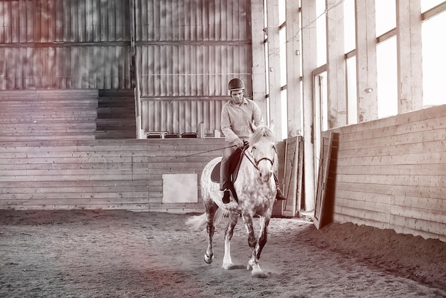 Foto los jóvenes en un entrenamiento de caballos en una arena de madera