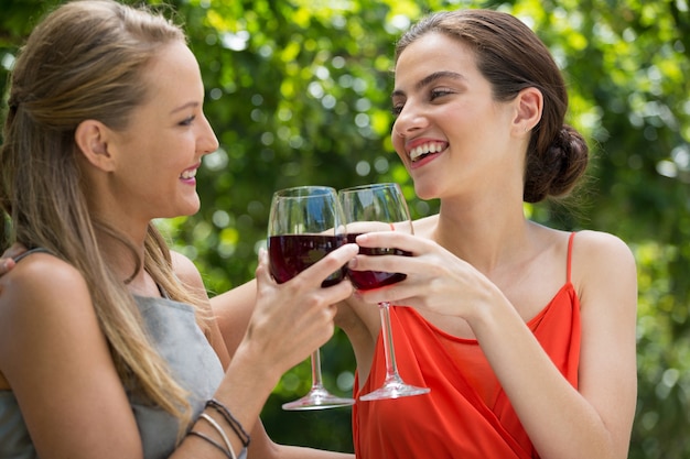 Jovens amigas sorridentes brindando com taças de vinho tinto em restaurante