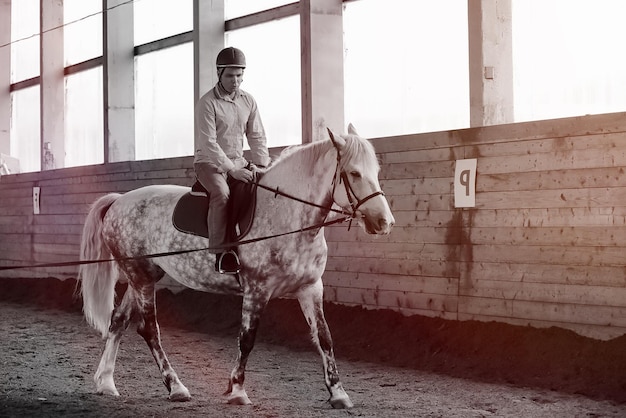 Jovens montados em um cavalo treinando em uma arena de madeira