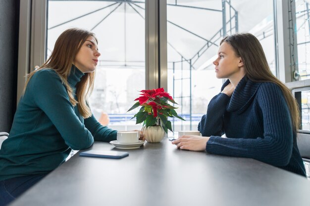 Jovens mulheres sorridentes conversando no café na temporada de inverno