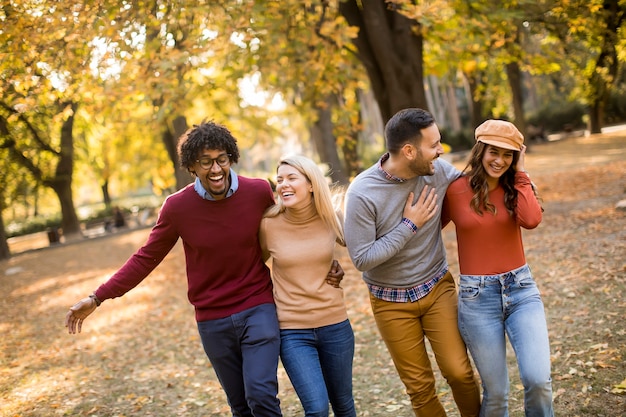 Jovens multirraciais caminhando no parque de outono e se divertindo