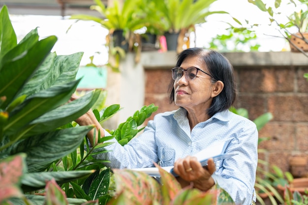 Jubilación de una anciana asiática relajándose y tomando notas sobre la plantación de árboles en el jardín de su casa