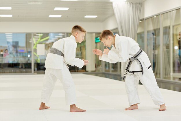 Judoistas peleando entre ellos