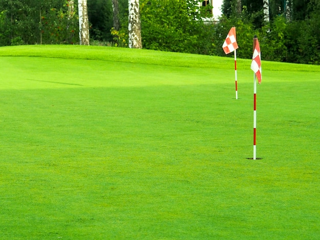 Juego, entretenimiento, deporte y ocio, cerca de la marca de la bandera en el hoyo en el campo de golf