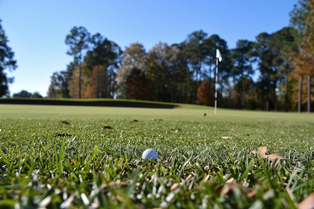 Foto un juego de golf.