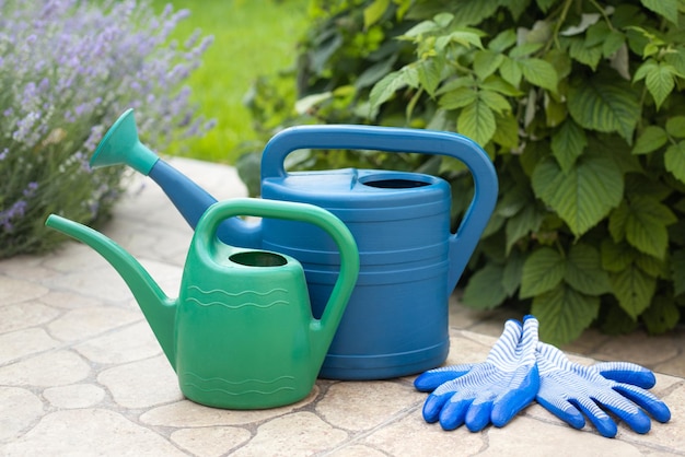 Juego de herramientas de jardinero con regadera y guantes para jardinería.