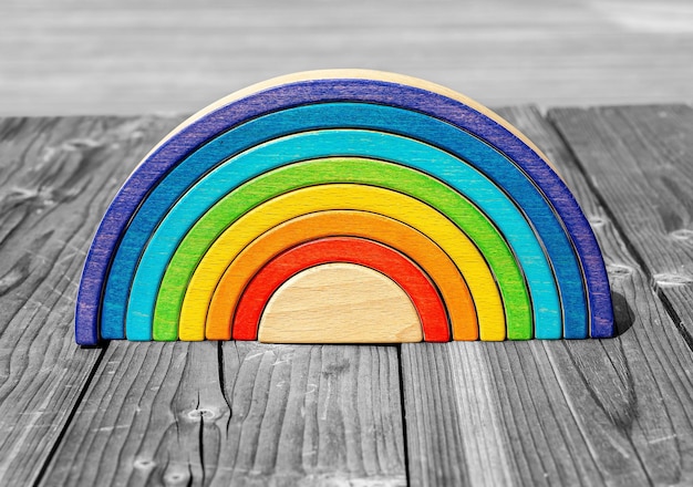 Juego de Montessori de colores del arco iris