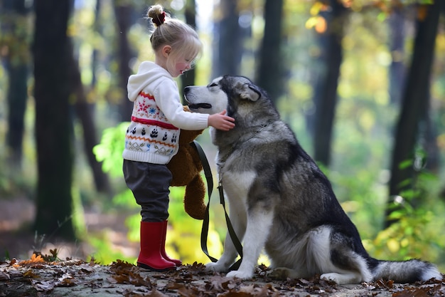 Juego de niños con perro husky al aire libre. Infancia, juego y diversión. Actividad y descanso activo. Niña con perro en el bosque.