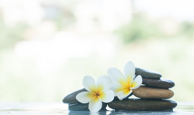 Juego de spa de dos flores y piedras para masajes con luz solar.