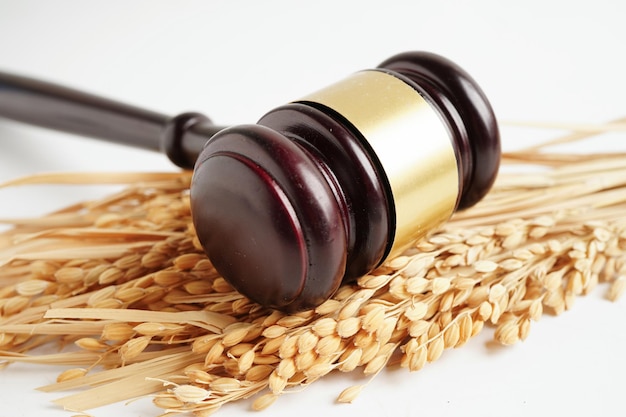 Juez martillo de martillo con arroz de buen grano de la granja de agricultura concepto de tribunal de ley y justicia