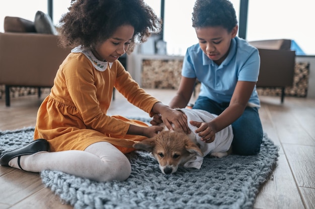 Foto jugando con el perro. niños disfrutando del tiempo con su cachorro