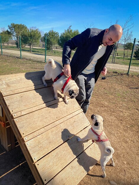 Jugando con los perros en el parque para perros.