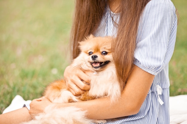 Jugendlich Mädchen mit kleinem Hund des Haustiertiers auf einem Picknick im Freien.