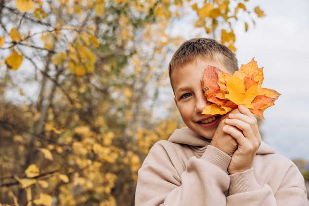 Jugendlichjunge, der seine Augen hinter Ahornblättern versteckt Kind, das gelbe Herbstblätter in seinen Händen hält Jugendlich, die Spaß auf dem Gehen im Herbstpark haben Selektiver Fokus