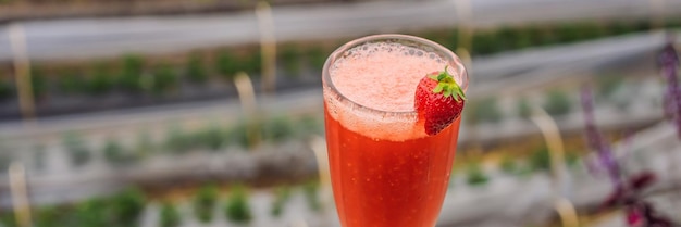 El jugo de fresa tradicional en bali en el café bedugul area en una plantación de fresas bali a