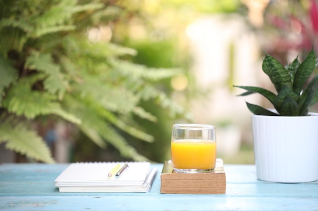 Jugo de mango y libros y maceta de serpiente pequeña Hahnii