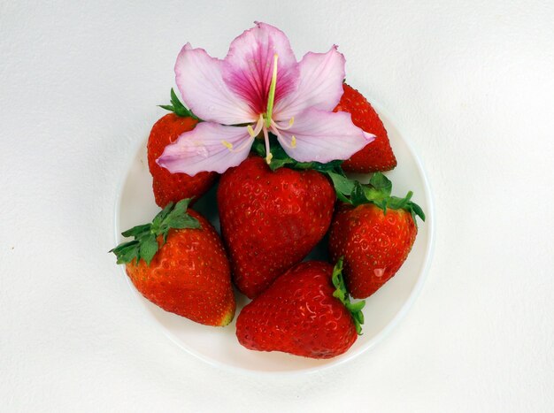 Jugosa fresa roja fresca madura y flor de árbol de orquídeas aislada en blanco. Sabroso, fruta y flores.