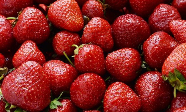 Jugosas fresas maduras