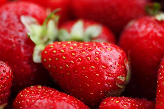 Jugosas fresas rojas maduras naturales