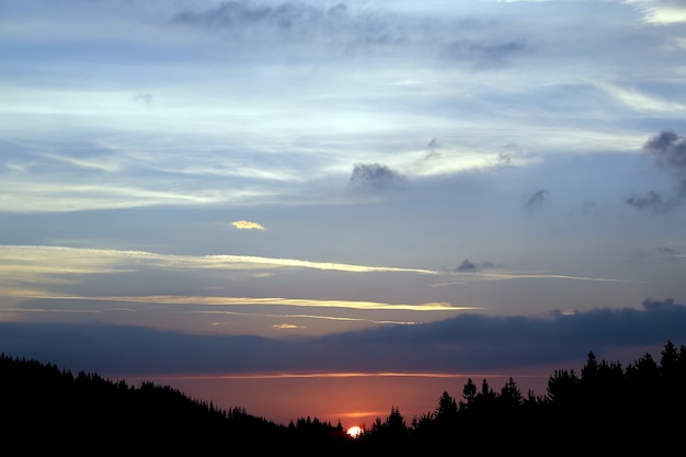 Jugoso amanecer en los bosques de montaña