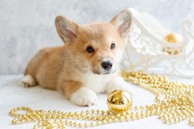 Juguete del árbol de navidad del perrito de Welsh Corgi