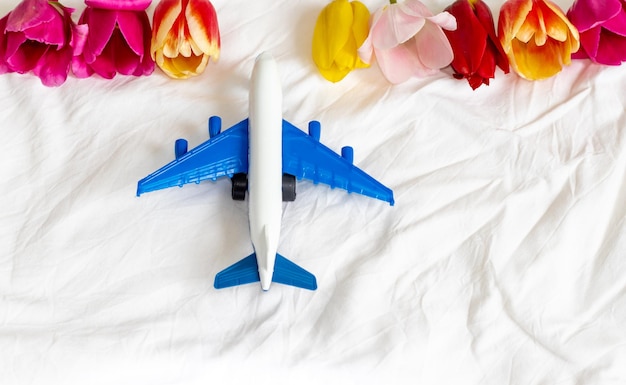 juguete de avión en manta blanca y concepto de viaje y turismo de tulipanes de diferentes colores