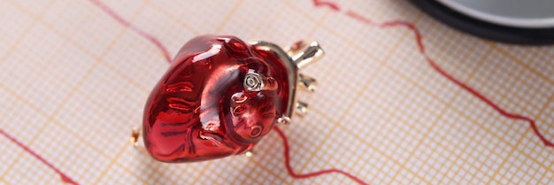 El juguete del corazón en miniatura de cristal rojo yacía sobre el resultado del cardiograma del corazón