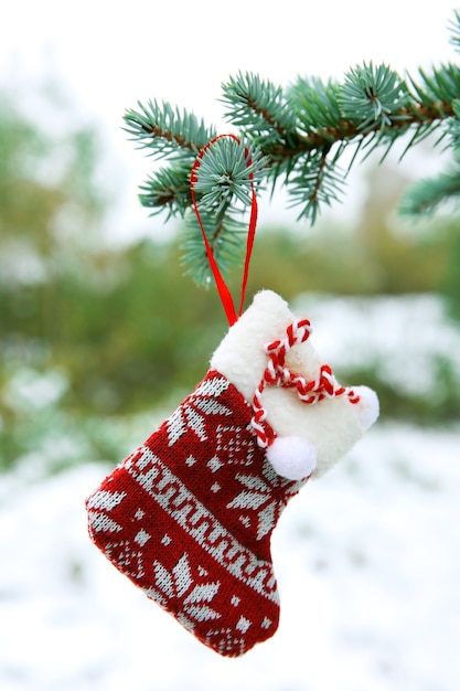 Juguete de Navidad en la rama de un árbol de abeto al aire libre