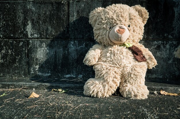 Foto juguete de peluche contra la pared