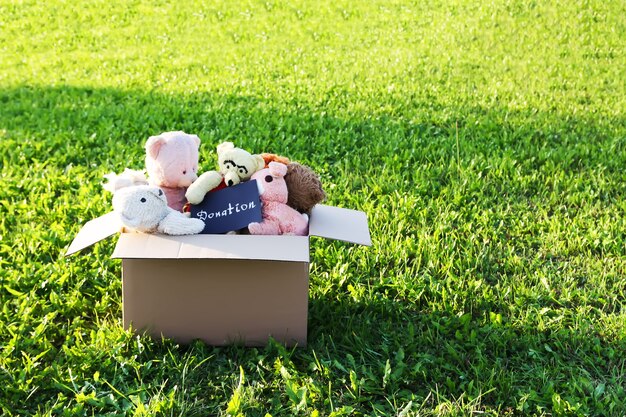 Juguetes blandos para donación en la caja de cartón abierta sobre la hierba verde al aire libre en la luz del sol